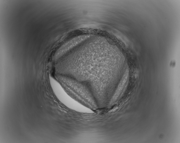 X0000097660965200803211916