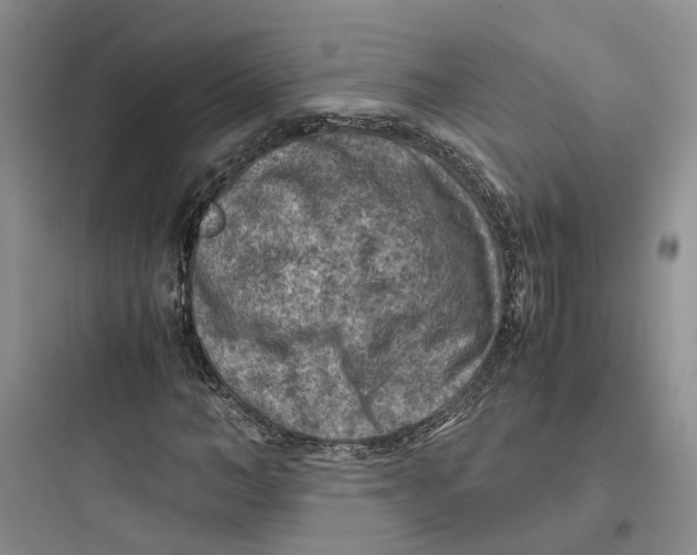 X0000097660966200803211916