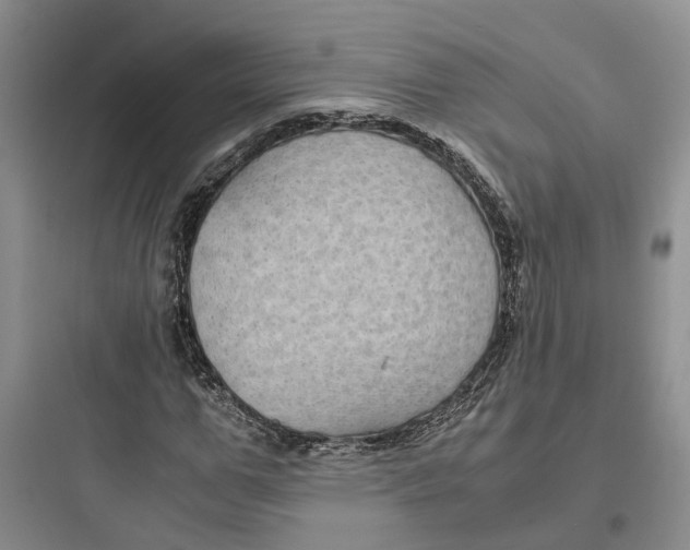 X0000097660967200803211916