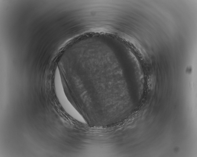 X0000097660968200803211916
