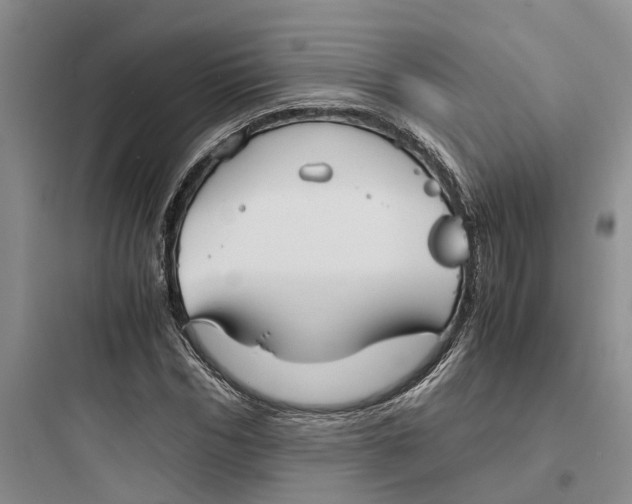 X0000097660970200803211916