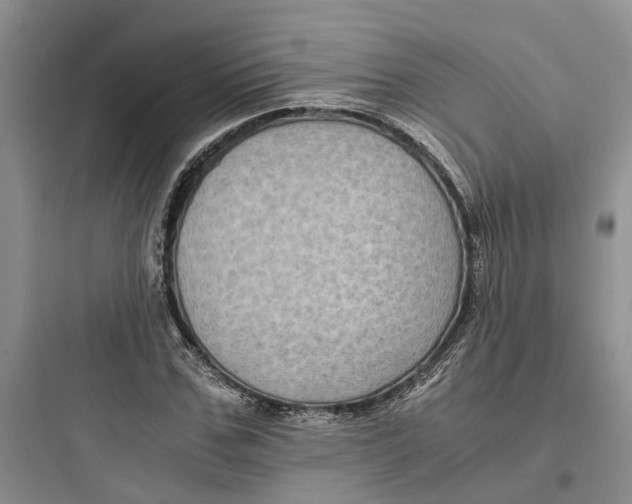 X0000097660971200803211916