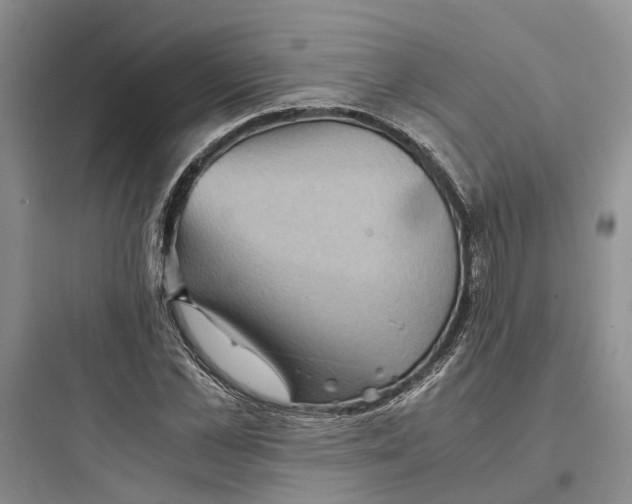 X0000097660973200803211916