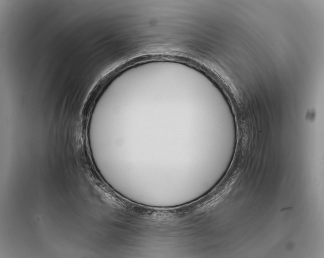 X0000097660974200803211916