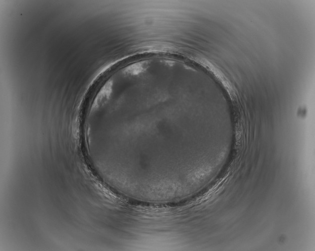 X0000097660975200803211916