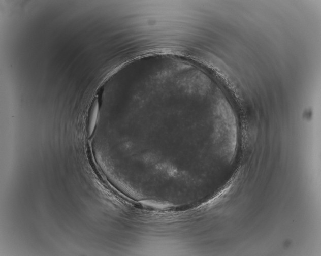 X0000097660977200803211916