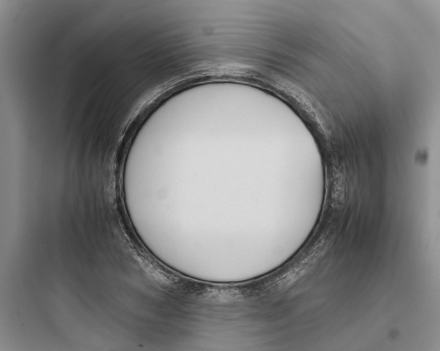 X0000097660978200803211915