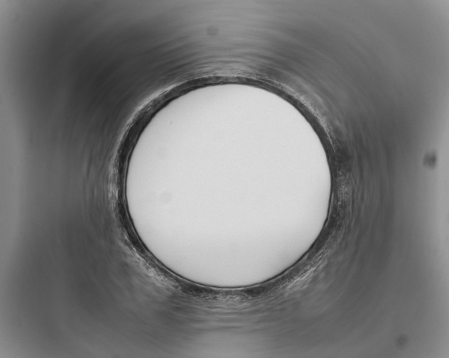 X0000097660979200803211915