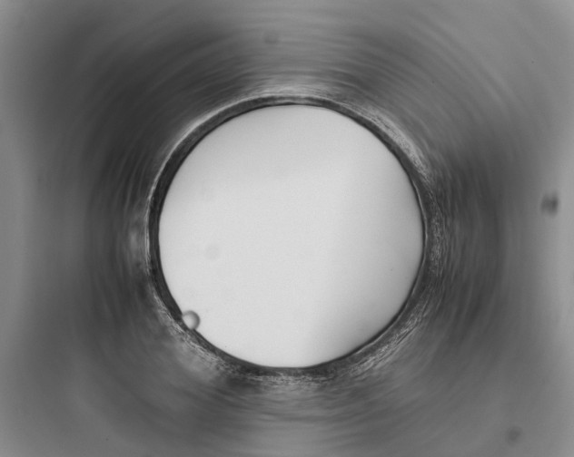 X0000097660980200803211915