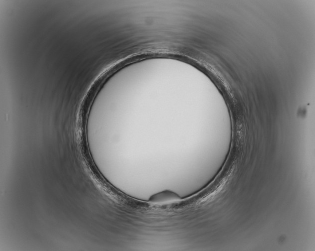 X0000097660981200803211915