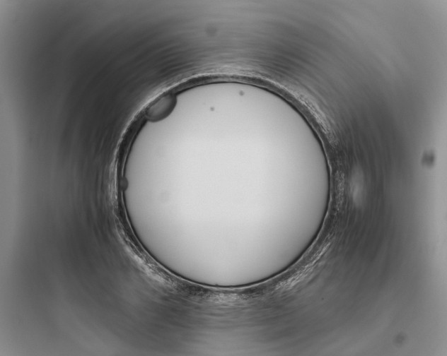 X0000097660982200803211915