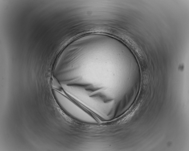 X0000097660985200803211915