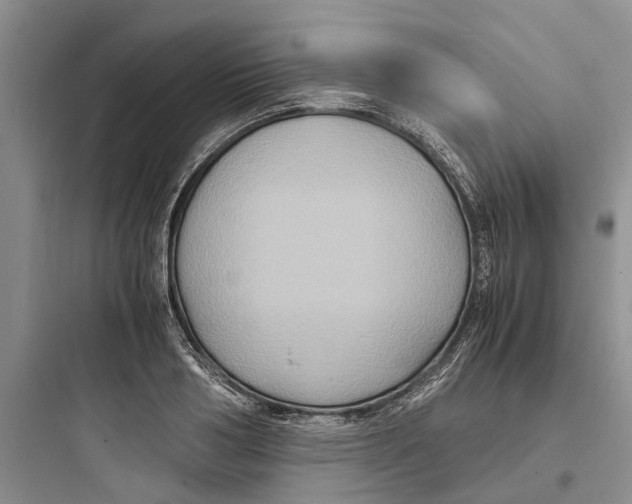 X0000097660986200803211915