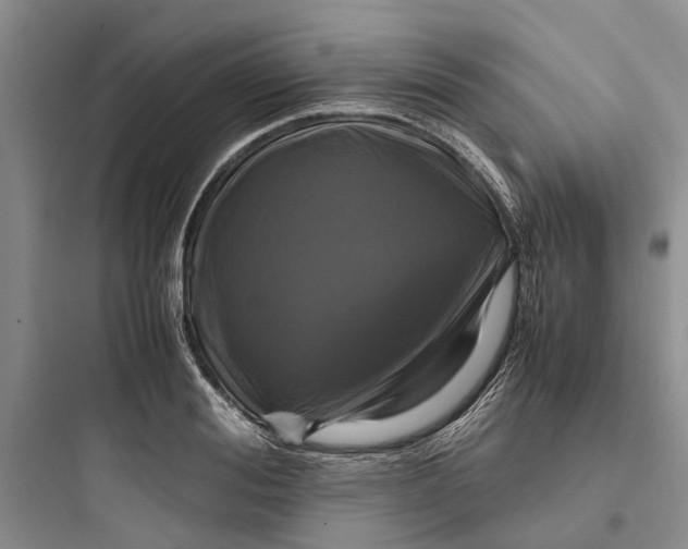 X0000097660988200803211915