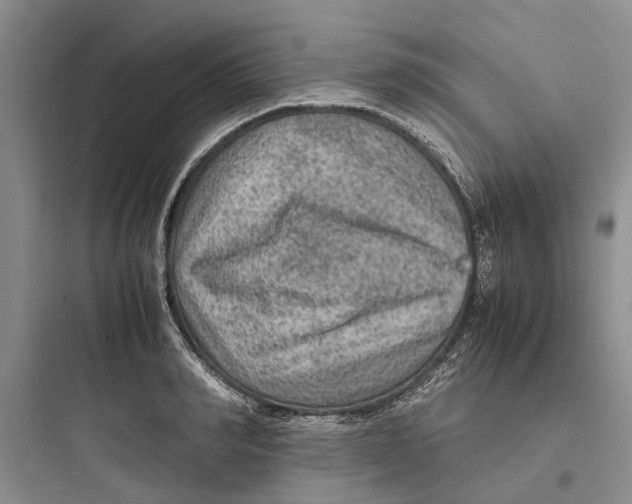 X0000097660990200803211915