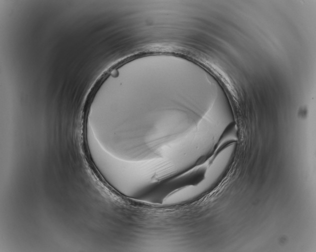 X0000097660992200803211915