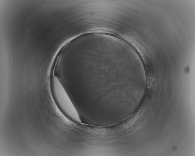 X0000097660995200803211915