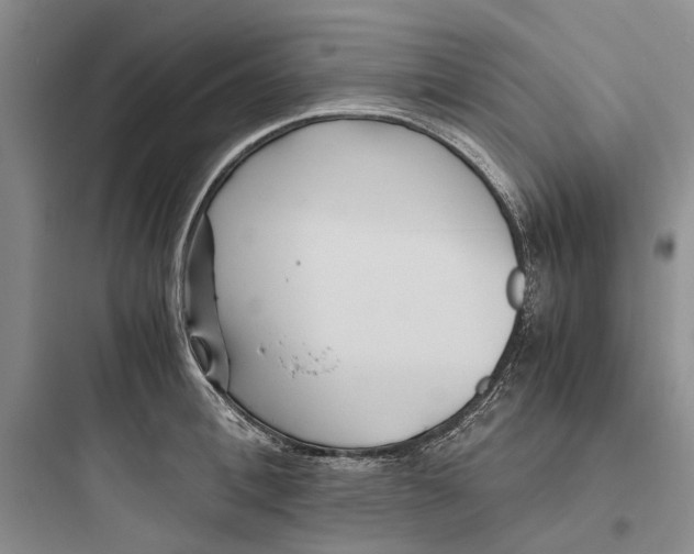X0000097660996200803211915