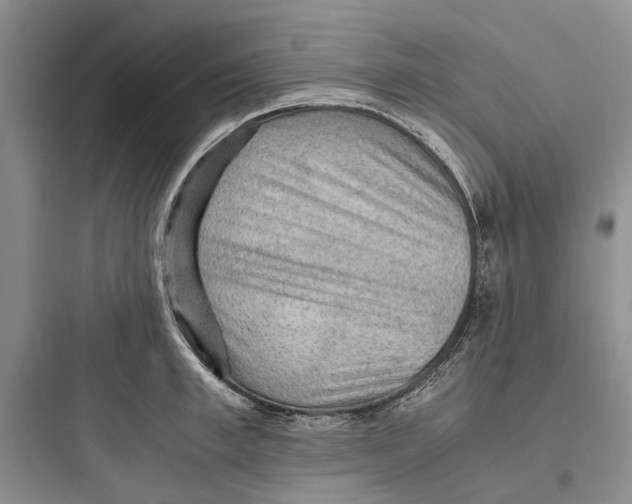 X0000097660997200803211915