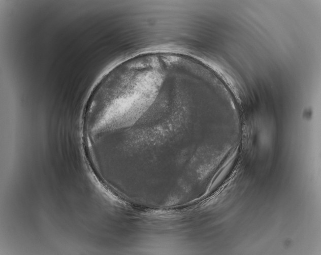 X0000097660998200803211915
