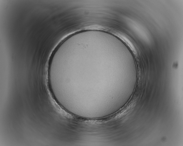 X0000097661000200803211915