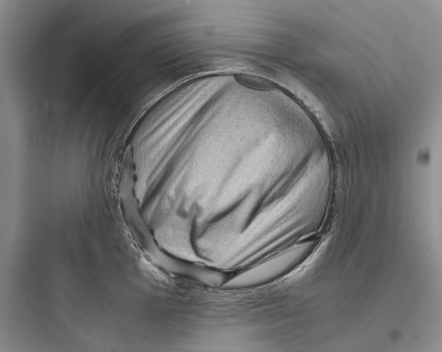 X0000097661001200803211915