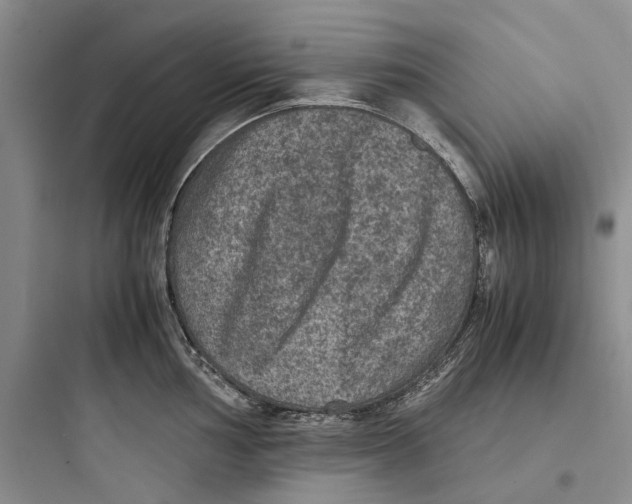 X0000097661002200803211915