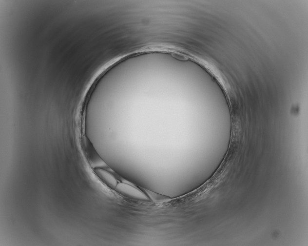X0000097661003200803211915