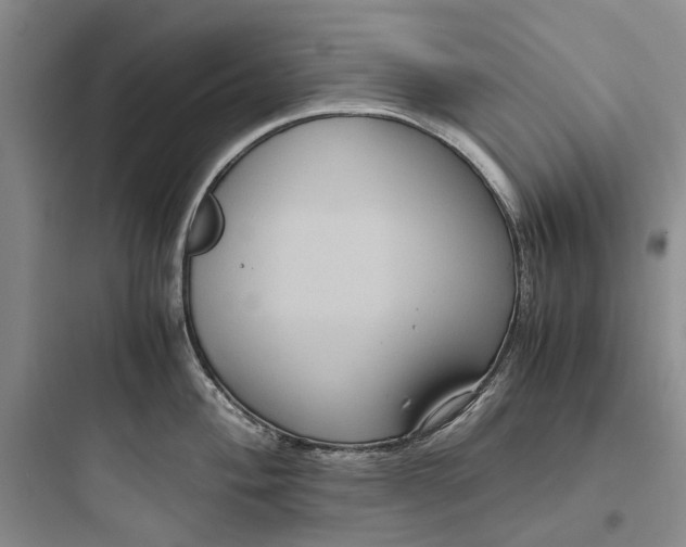 X0000097661004200803211915