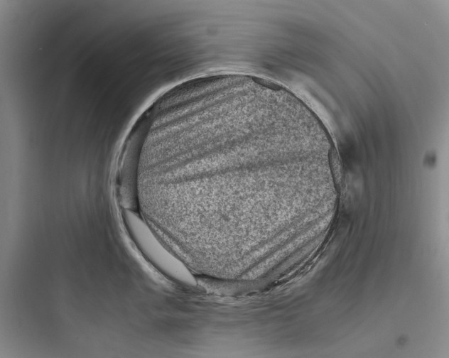 X0000097661005200803211915