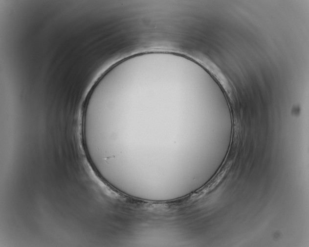 X0000097661006200803211915