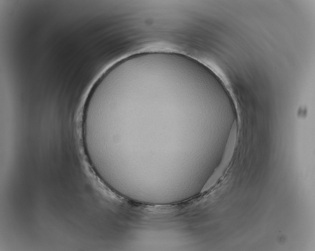 X0000097661008200803211915