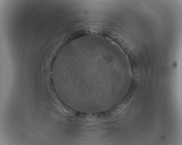 X0000097661009200803211914