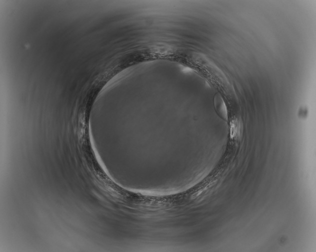 X0000097661011200803211914