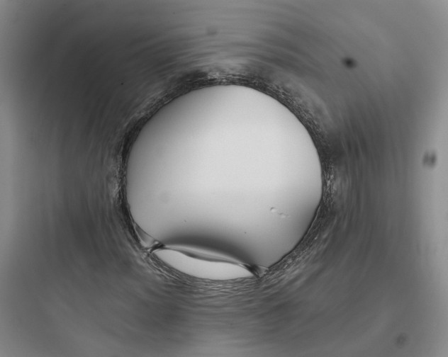 X0000097661012200803211914