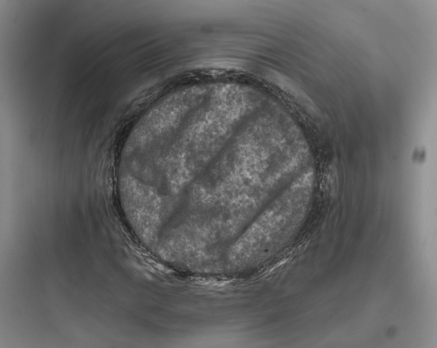X0000097661014200803211914
