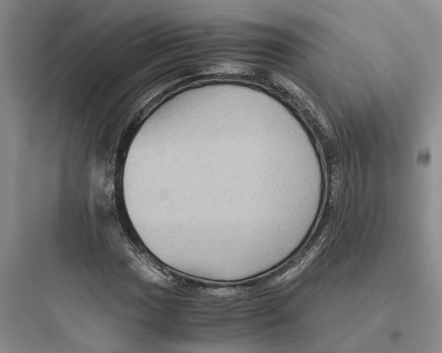 X0000097661017200803211915