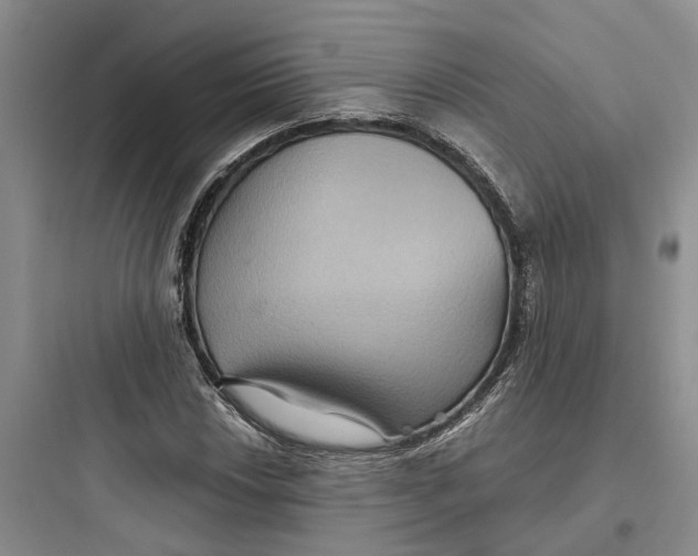 X0000097661018200803211915