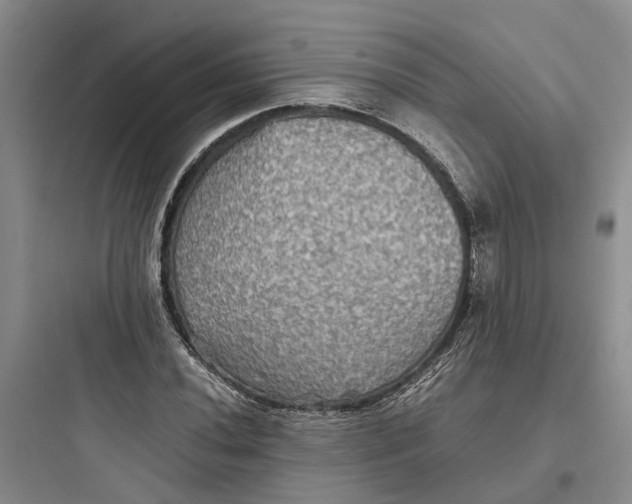 X0000097661020200803211915