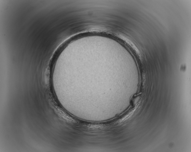 X0000097661021200803211915