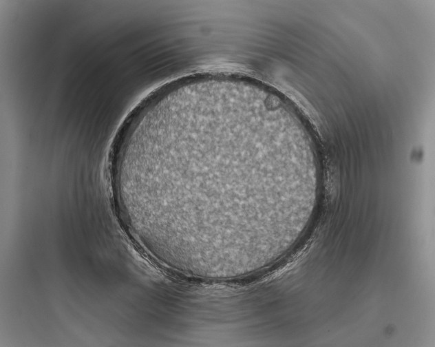 X0000097661022200803211915