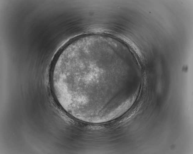 X0000097661023200803211915