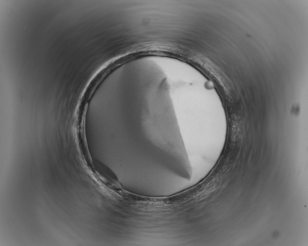 X0000097661024200803211915
