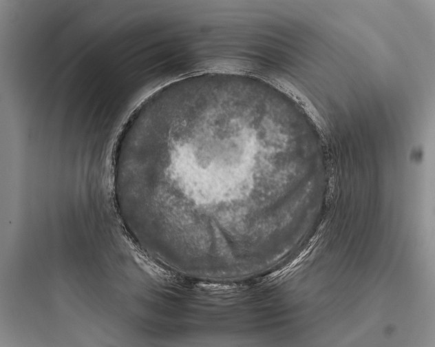 X0000097661027200803211915