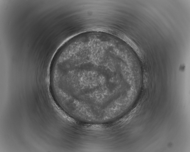 X0000097661028200803211915