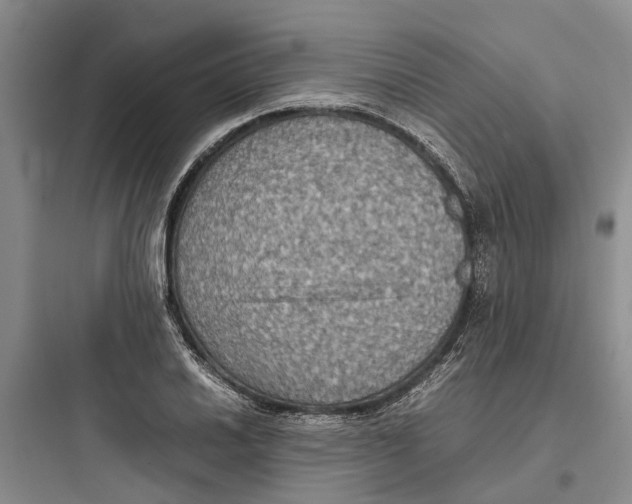 X0000097661030200803211915