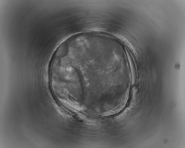 X0000097661031200803211915