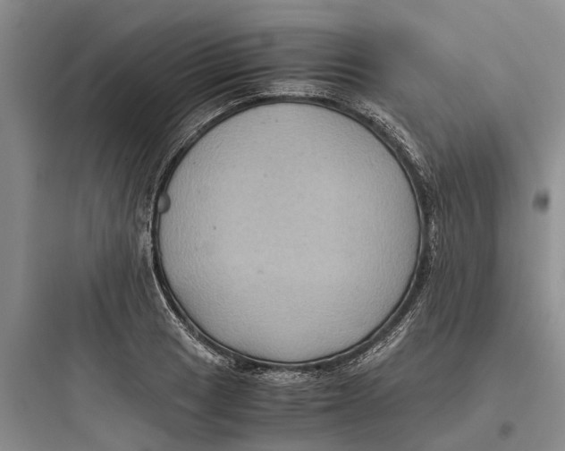 X0000097661033200803211915