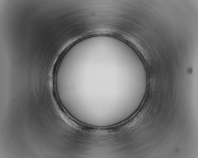 X0000097661034200803211915