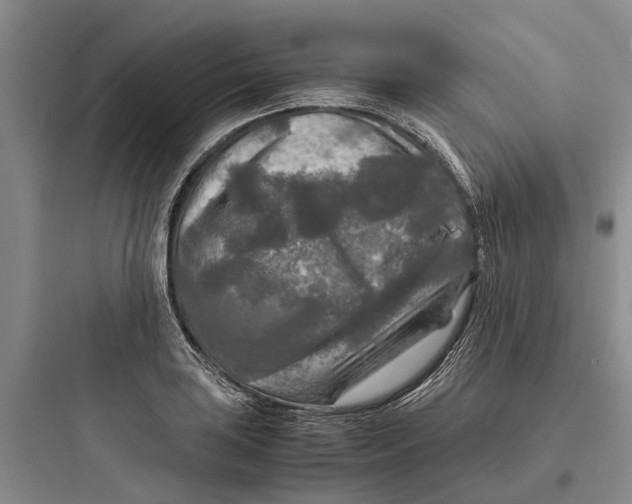 X0000097661035200803211915